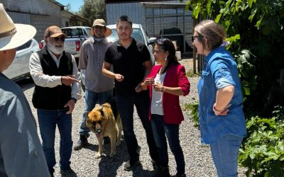 Seminario de Eficiencia Hídrica en el Valle del Huasco reunirá a agricultores, actores públicos y expertos del sector