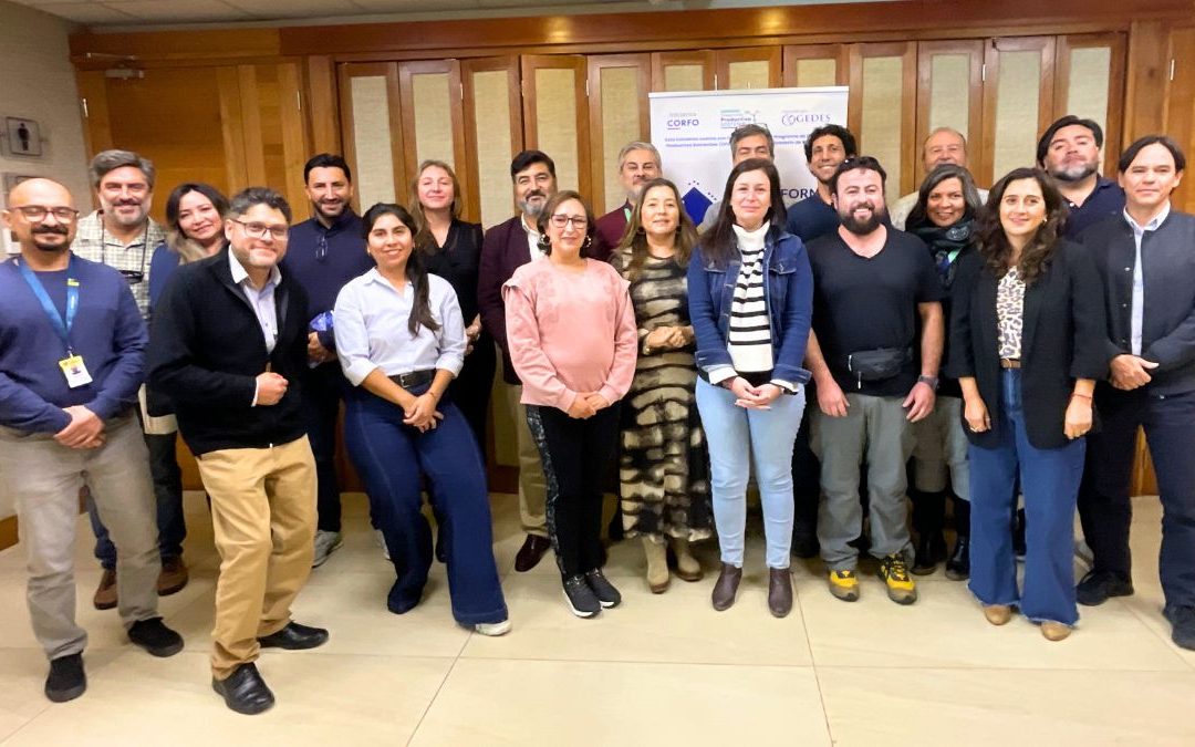 Comité Ejecutivo Transforma Hídrico Atacama avanza en implementación