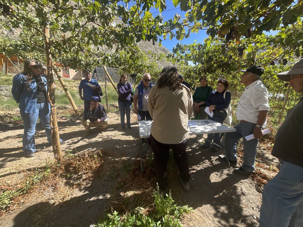 Seminario sobre eficiencia hídrica y tecnologías de riego realizado en Alto del Carmen, Región de Atacama.
