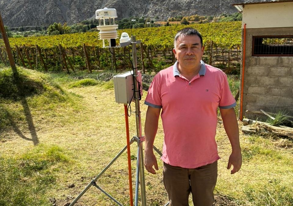Tecnología aplicada al riego fortalece producción agrícola en Alto del Carmen