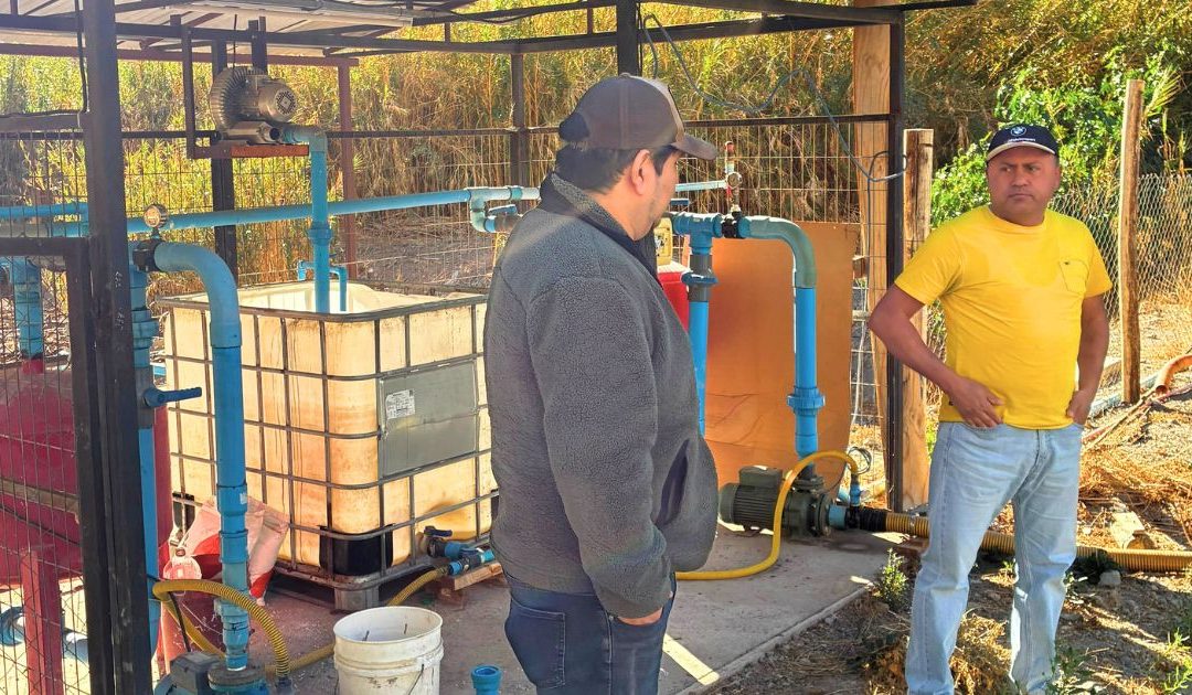 Profesionales del Programa Transforma Eficiencia Hídrica Sostenible Atacama y del Grupo de Estudios del Agua de la Universidad de Chile realizan una Auditoría de Riego en un predio agrícola de Alto del Carmen, Región de Atacama.