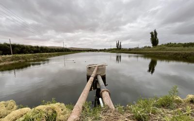 ¿Qué son los derechos de aprovechamiento de aguas en Chile?