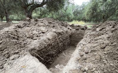 Productividad hídrica: generar más valor por cada m³ de agua