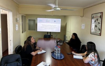 Eficiencia hídrica en la cuenca del río Copiapó